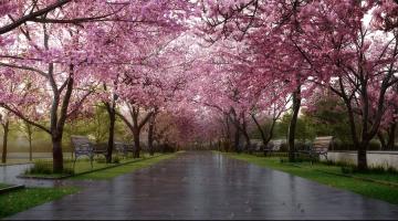 Sobha-TownPark-Manhattan-Towers-Literary-Walk-min