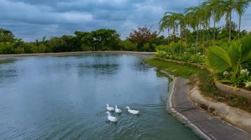 Frangipani-estates-villa-plots-in-sarjapur-road-bangalore