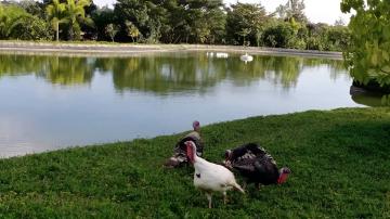 Frangipani-estates-villa-plots-in-sarjapur-road-bangalore