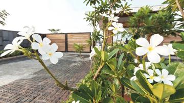 Frangipani-estates-villa-plots-in-sarjapur-road-bangalore