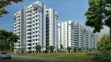 Purva-Whitehall