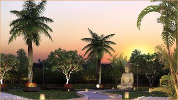 Purva-Smiling-Willows-view