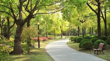 Birla Alokya Villaments In Whitefield Bangalore