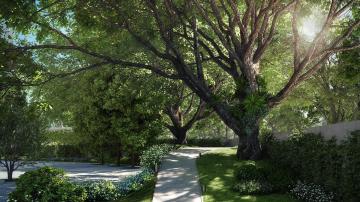 27-Summit-Apartment-in-Bangalore-garden-tree