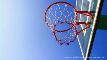 Hiranandani-Villa-Plots-In-Devanahalli-Bangalore-basketball.