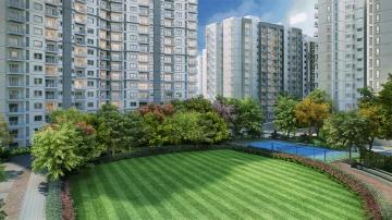 LT-Raintree-Boulevard