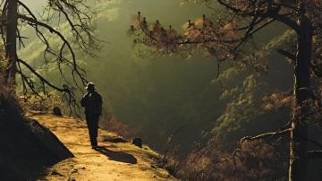 DLF-Samavana-Studi-Apartments-and-Plots-Himachal-Pradesh-nature