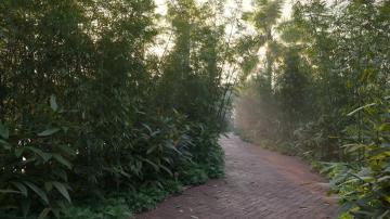 sobha-ayana-apartments-in-marathahalli-bangalore-Jogging area